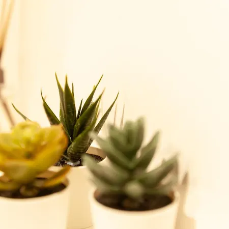 Freitraum No3 Mit Eigenem Garten * Bad Neustadt an der Saale